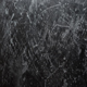 Bild 06