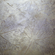 Bild 03